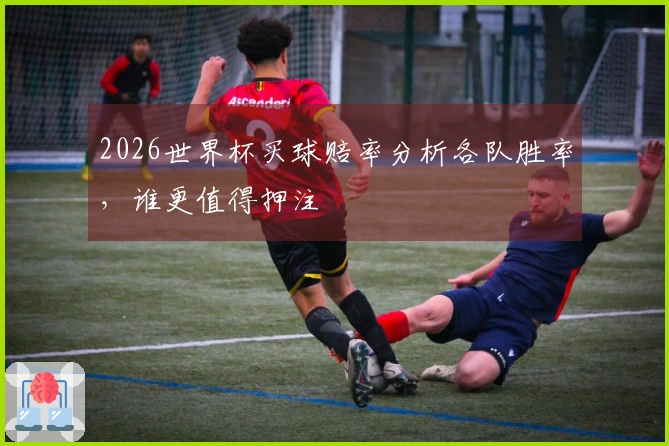 2026世界杯买球赔率分析各队胜率，谁更值得押注