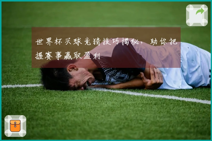 世界杯买球竞猜技巧揭秘，助你把握赛事赢取盈利