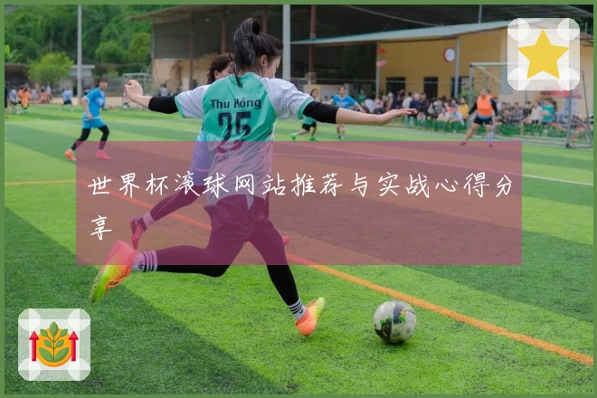 世界杯滚球网站推荐与实战心得分享