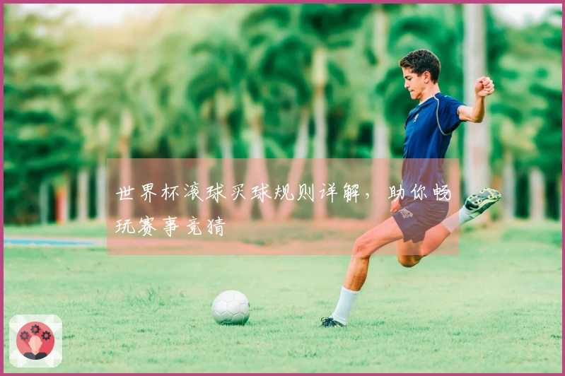 世界杯滚球买球规则详解，助你畅玩赛事竞猜
