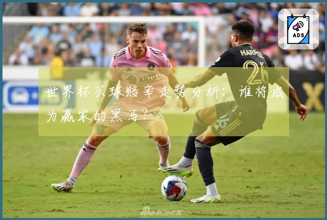 世界杯买球赔率走势分析：谁将成为赢家的黑马？