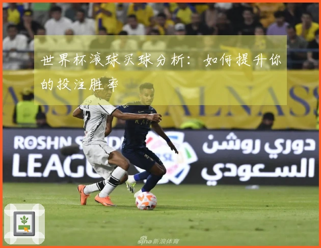 世界杯滚球买球分析：如何提升你的投注胜率