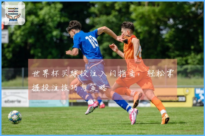世界杯买球投注入门指南，轻松掌握投注技巧与策略