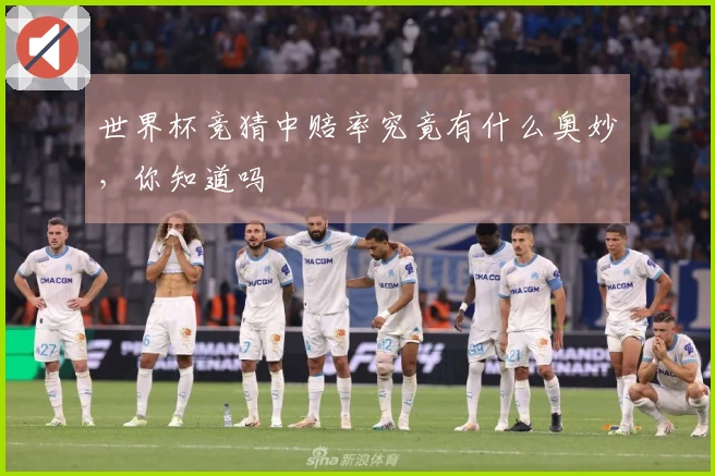 世界杯竞猜中赔率究竟有什么奥妙，你知道吗