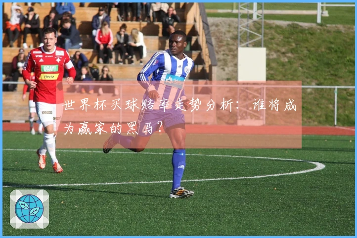 世界杯买球赔率走势分析：谁将成为赢家的黑马？