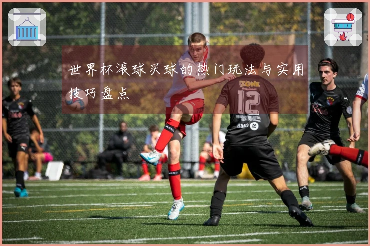 世界杯滚球买球的热门玩法与实用技巧盘点