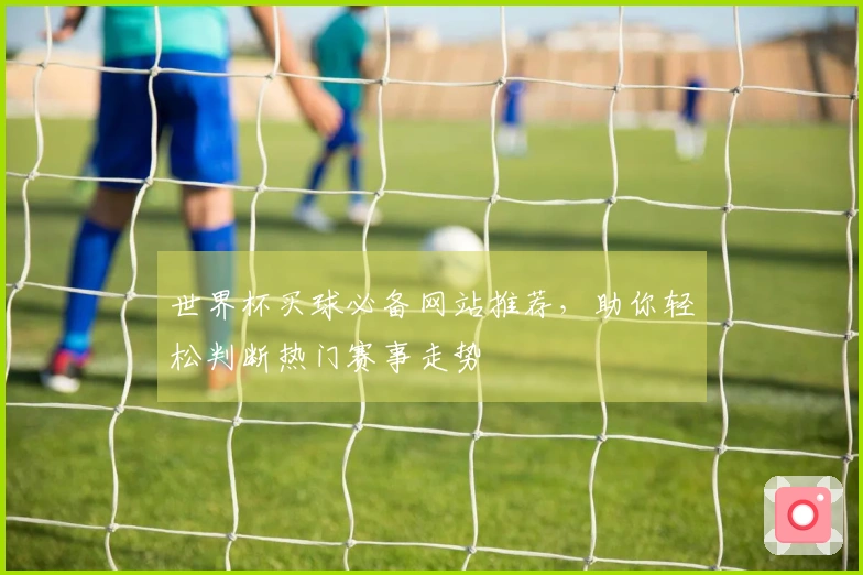 世界杯买球必备网站推荐，助你轻松判断热门赛事走势